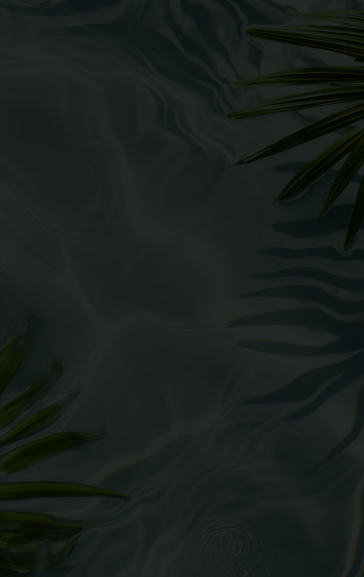 事業紹介背景画像